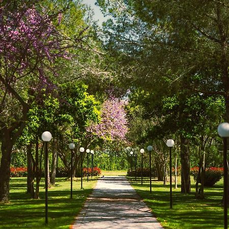 Green Park דיוויאקה מראה חיצוני תמונה