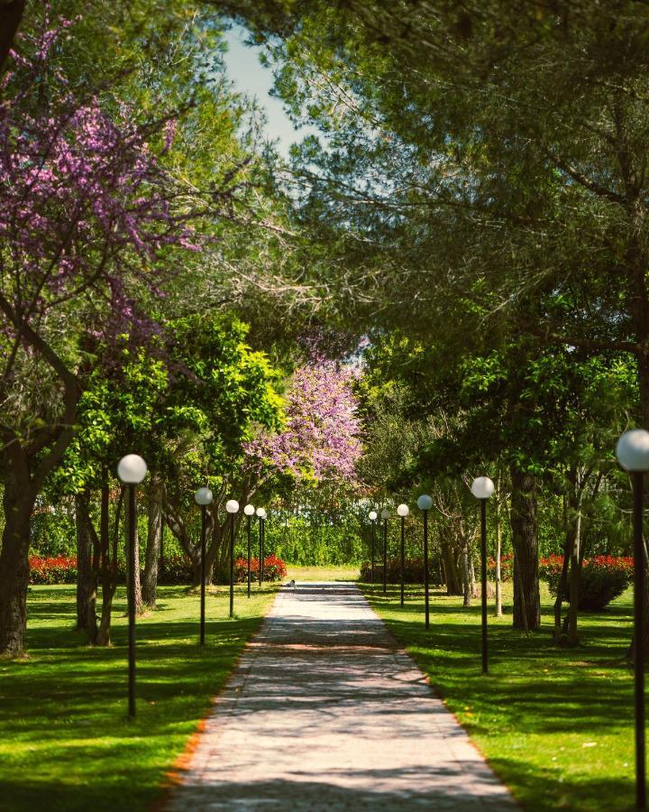 Green Park דיוויאקה מראה חיצוני תמונה