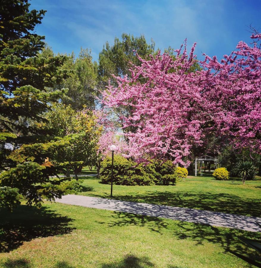 Green Park דיוויאקה מראה חיצוני תמונה