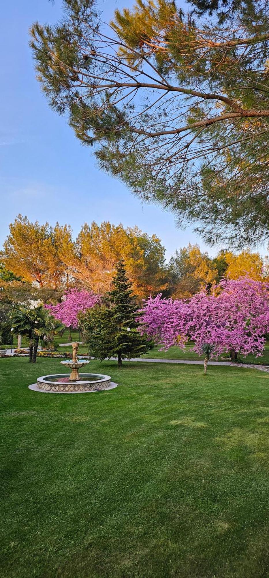 Green Park דיוויאקה מראה חיצוני תמונה