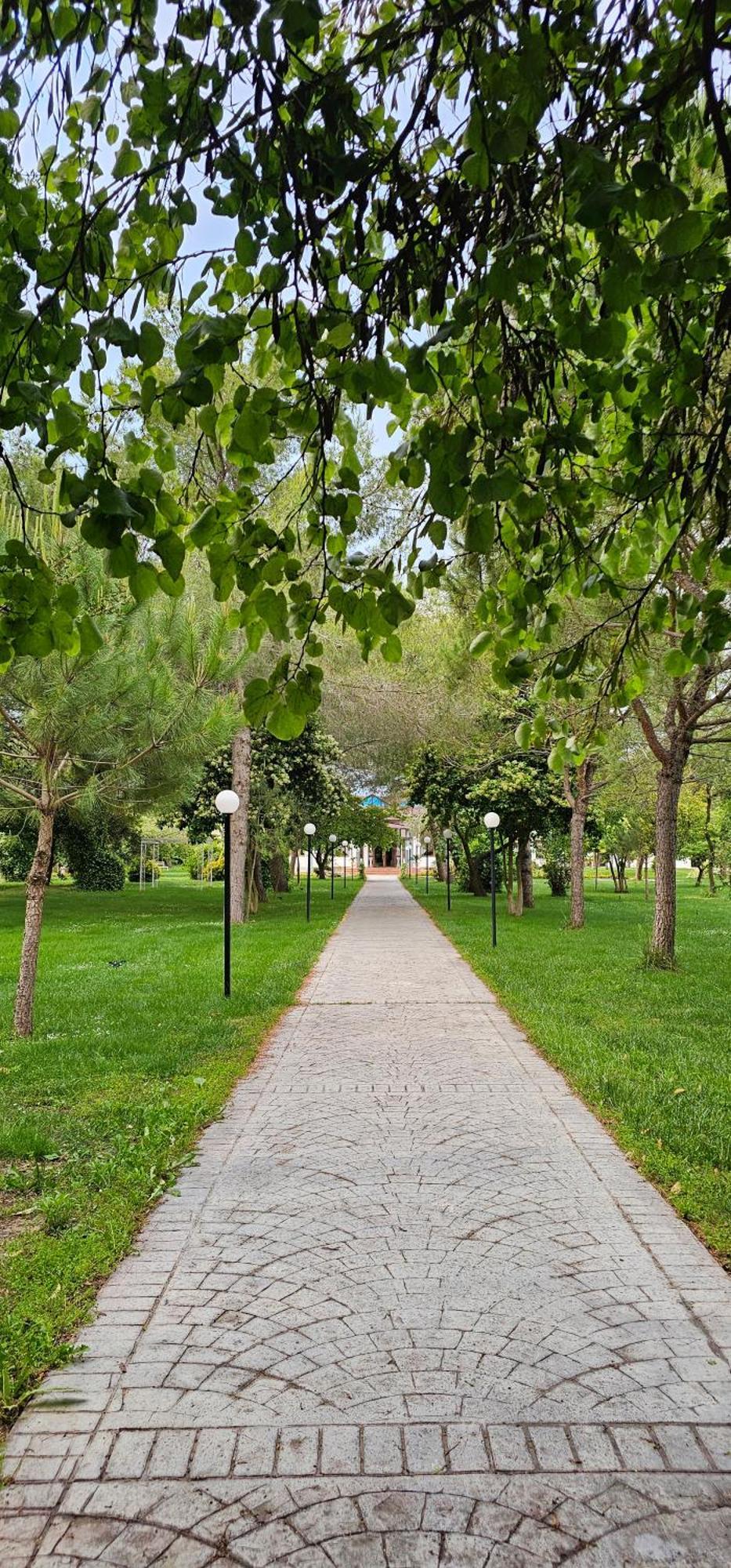 Green Park דיוויאקה מראה חיצוני תמונה